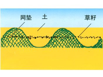 三维土工网垫